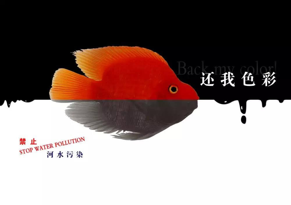 污水處理藥劑，污水處理，水處理